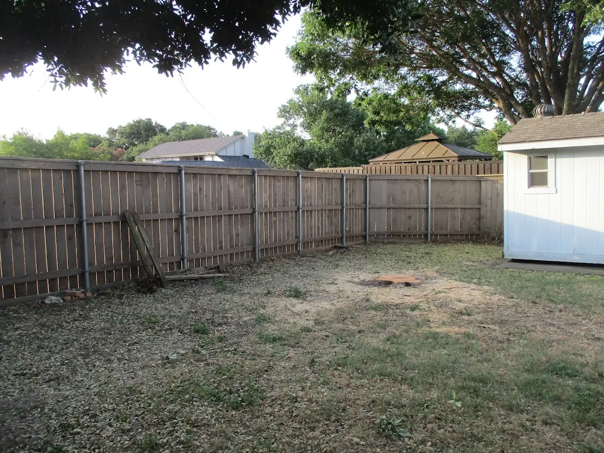 Cleared yard after professional tree removal in Eastern
