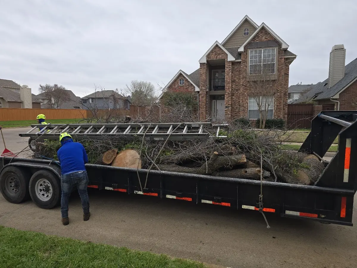 Expert Lot Clearing with proper safety equipment in Eastern